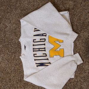 Vintage Michigan University Wolverines Cropped Sweatshirt